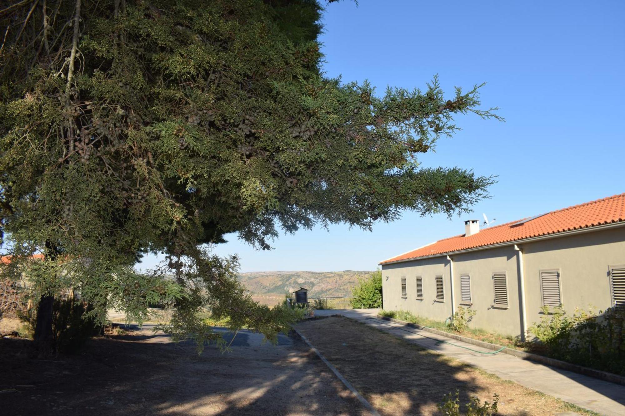 Douro Natura Bemposta  Buitenkant foto