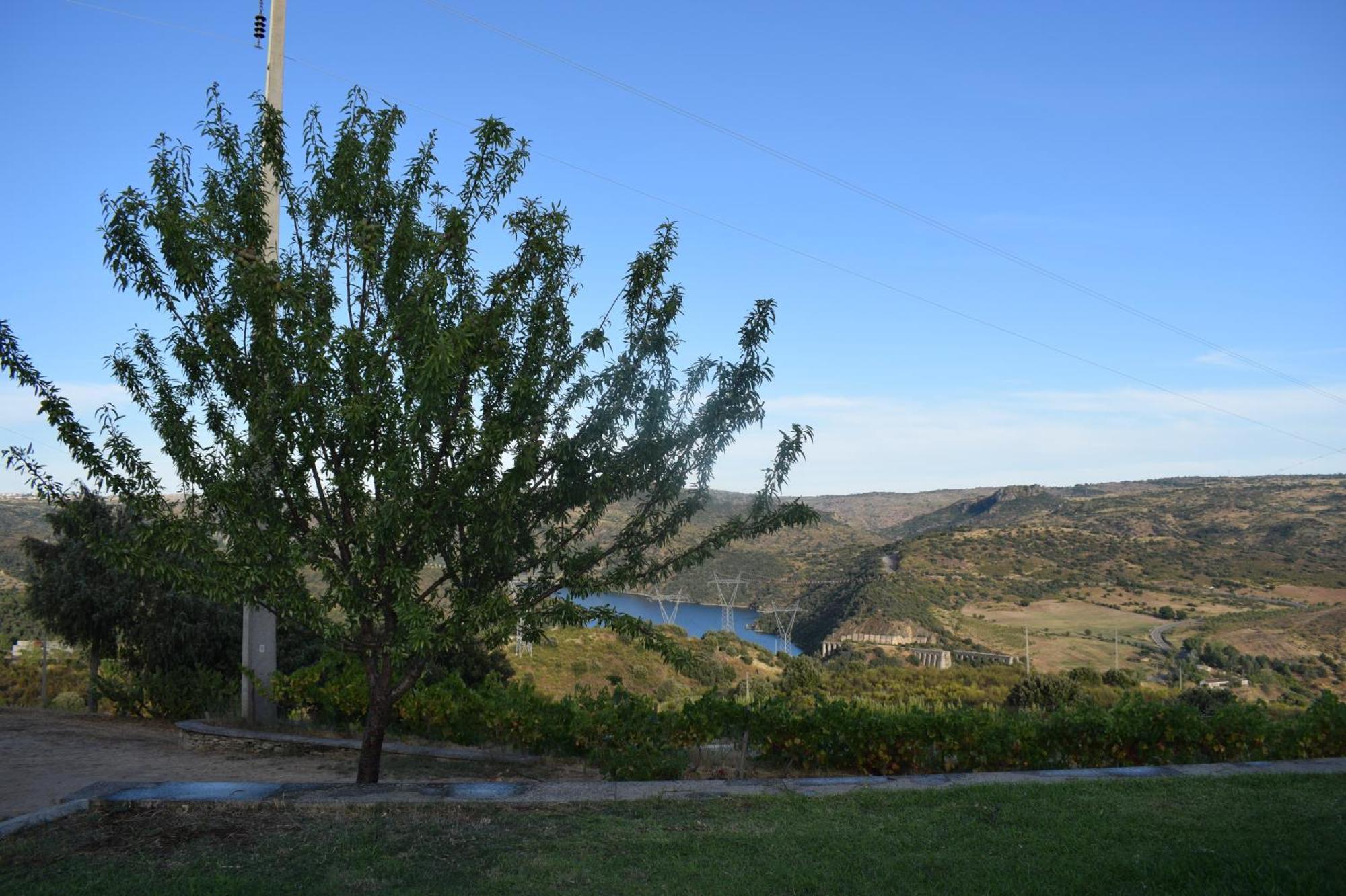 Douro Natura Bemposta  Buitenkant foto